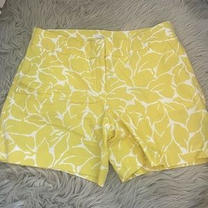 Women’s Loft shorts